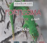 Fortissima Gekko
