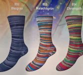 Sockenwolle Step 6 Paintbox